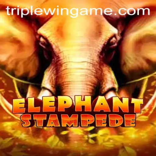 The Exciting World of ElephantStampede: An Adventure into TripleWins